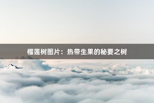 榴莲树图片：热带生果的秘要之树