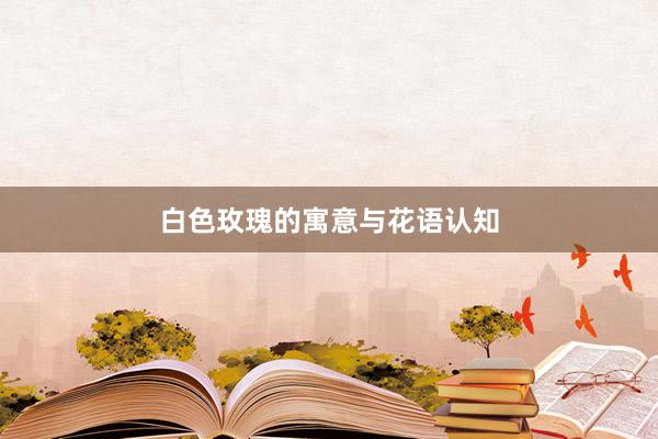 白色玫瑰的寓意与花语认知
