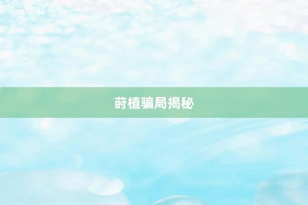 莳植骗局揭秘